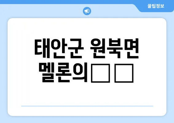 태안군 원북면 멜론의魅力