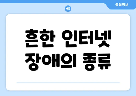 흔한 인터넷 장애의 종류