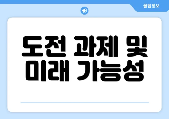 도전 과제 및 미래 가능성