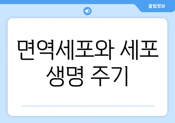 면역세포와 세포 생명 주기