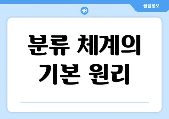 분류 체계의 기본 원리