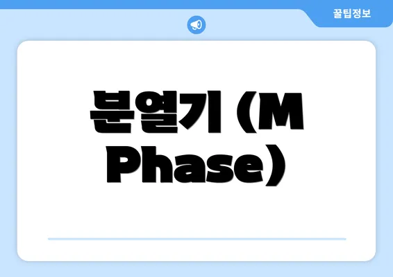 분열기 (M Phase)