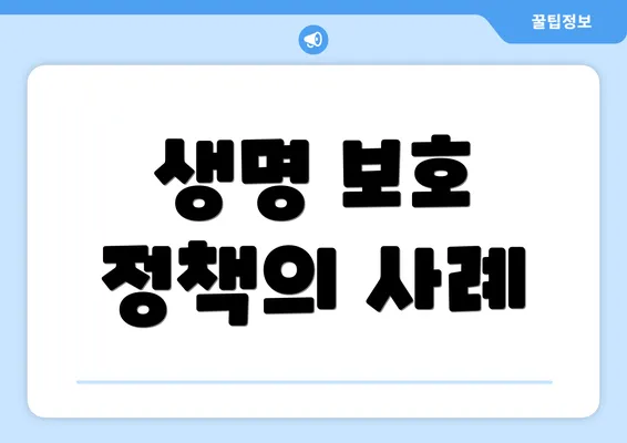 생명 보호 정책의 사례
