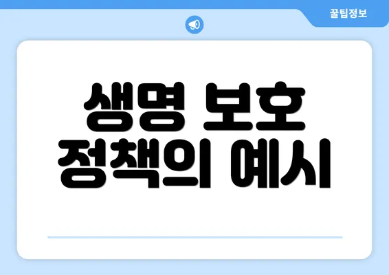 생명 보호 정책의 예시
