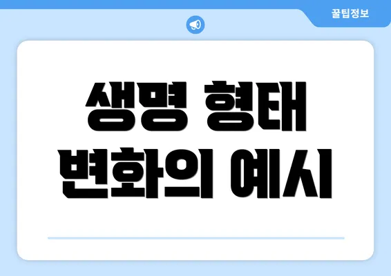 생명 형태 변화의 예시