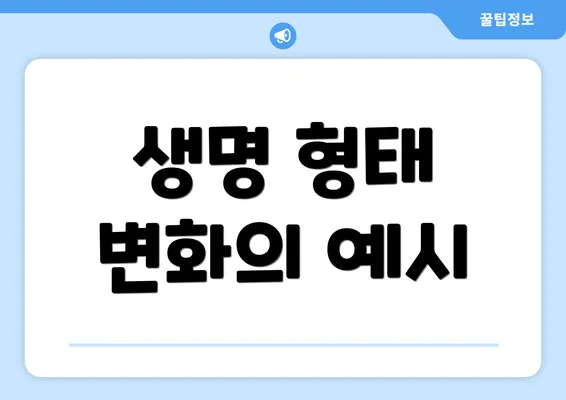 생명 형태 변화의 예시