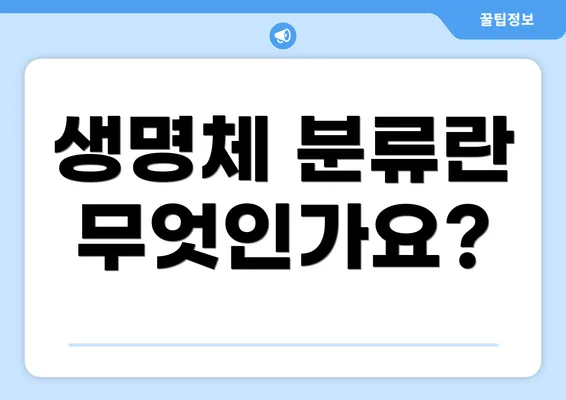 생명체 분류란 무엇인가요?