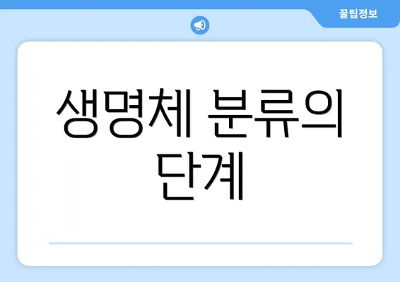 생명체 분류의 단계