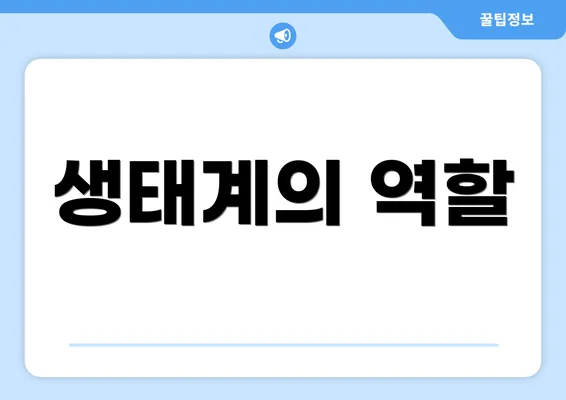 생태계의 역할