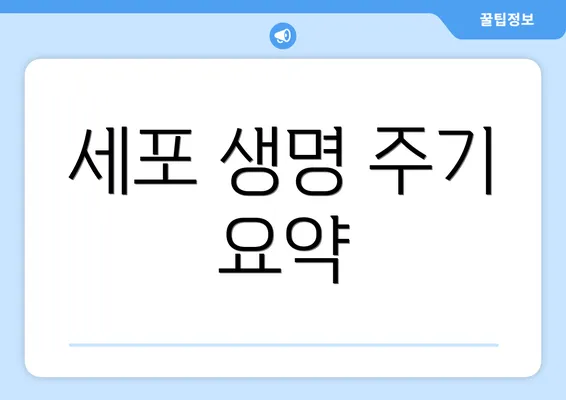 세포 생명 주기 요약