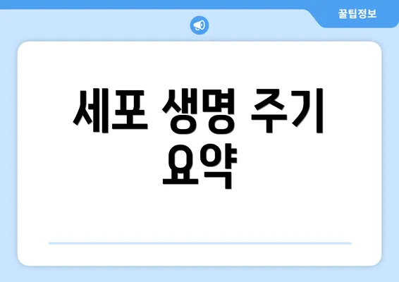 세포 생명 주기 요약