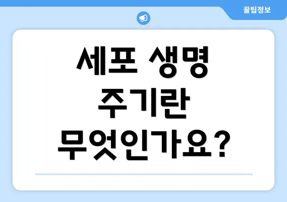 세포 생명 주기란 무엇인가요?