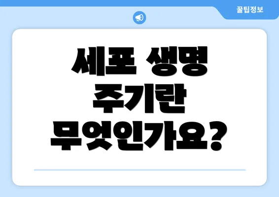 세포 생명 주기란 무엇인가요?