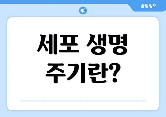 세포 생명 주기란?