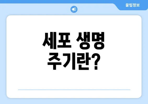 세포 생명 주기란?