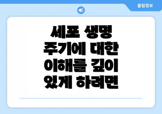 세포 생명 주기에 대한 이해를 깊이 있게 하려면