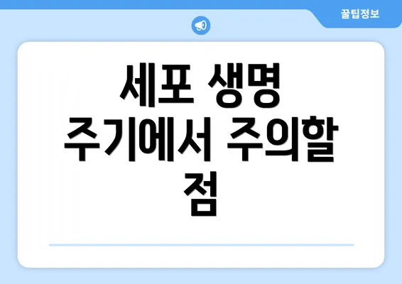 세포 생명 주기에서 주의할 점