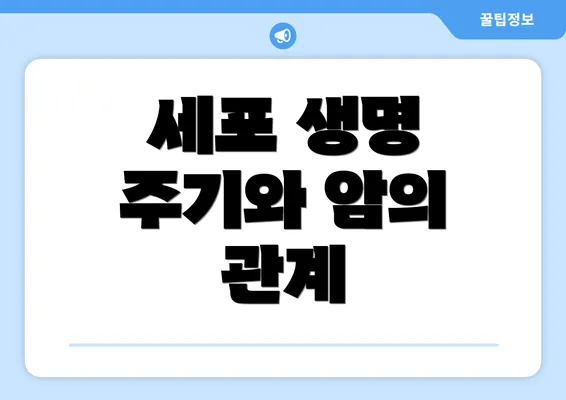 세포 생명 주기와 암의 관계