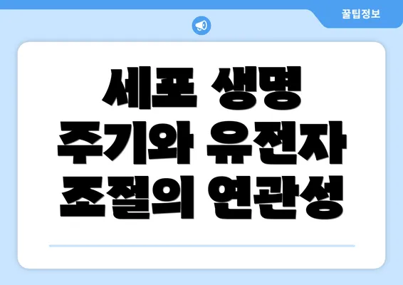 세포 생명 주기와 유전자 조절의 연관성