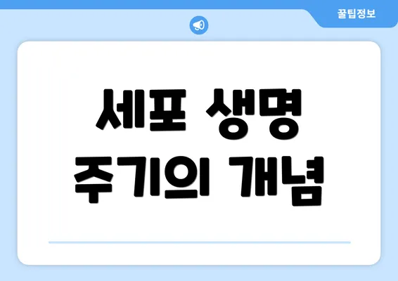 세포 생명 주기의 개념