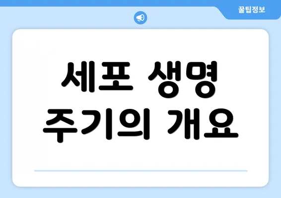 세포 생명 주기의 개요