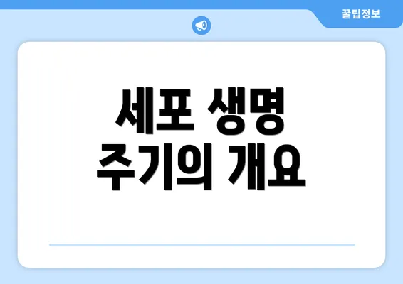 세포 생명 주기의 개요
