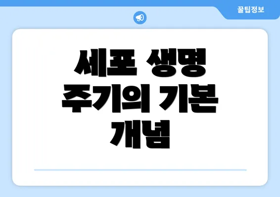 세포 생명 주기의 기본 개념