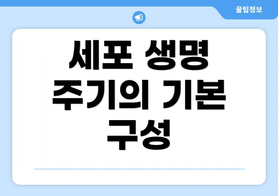 세포 생명 주기의 기본 구성