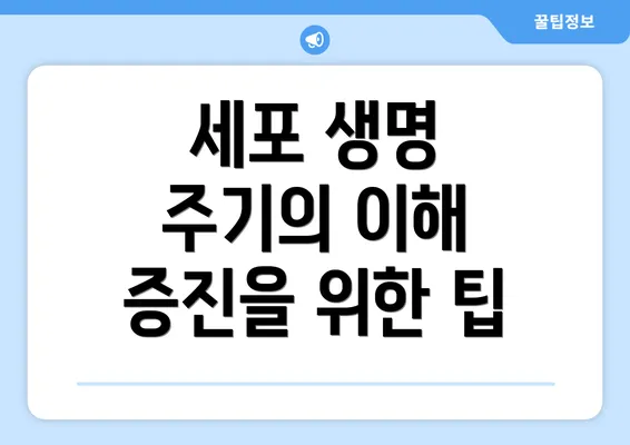 세포 생명 주기의 이해 증진을 위한 팁
