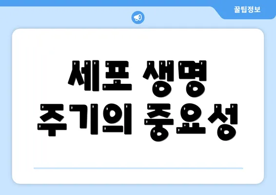 세포 생명 주기의 중요성