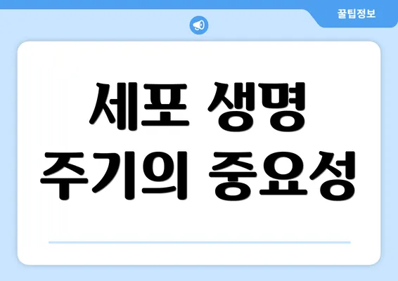 세포 생명 주기의 중요성