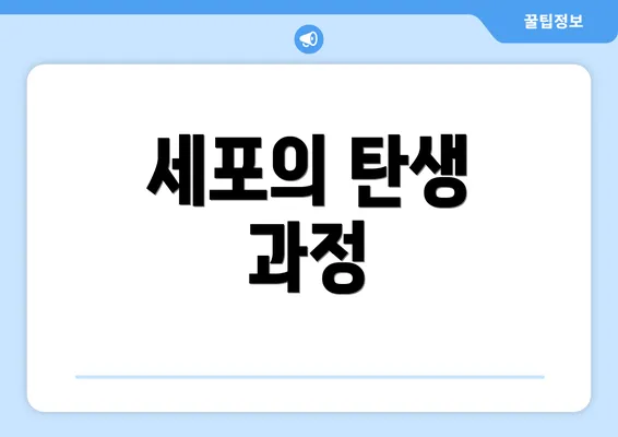 세포의 탄생 과정