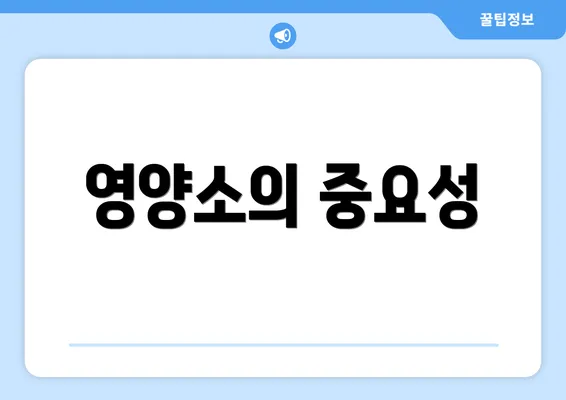 영양소의 중요성