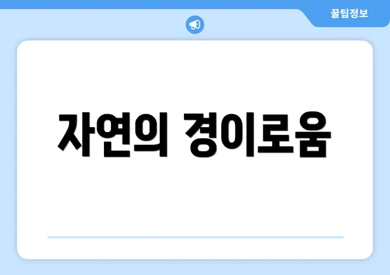 자연의 경이로움