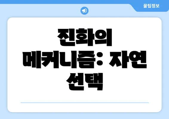 진화의 메커니즘: 자연 선택
