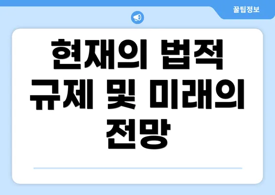 현재의 법적 규제 및 미래의 전망