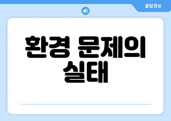 환경 문제의 실태