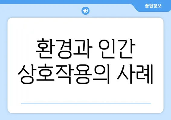 환경과 인간 상호작용의 사례