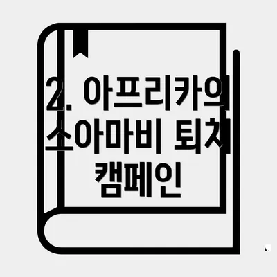 2. 아프리카의 소아마비 퇴치 캠페인