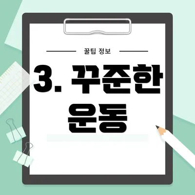 3. 꾸준한 운동