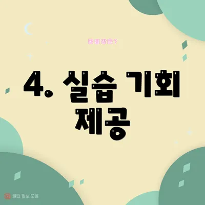 4. 실습 기회 제공
