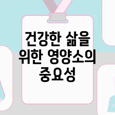 건강한 삶을 위한 영양소의 중요성