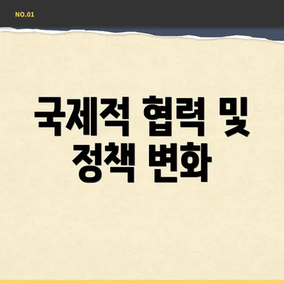 국제적 협력 및 정책 변화