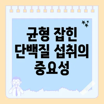 균형 잡힌 단백질 섭취의 중요성