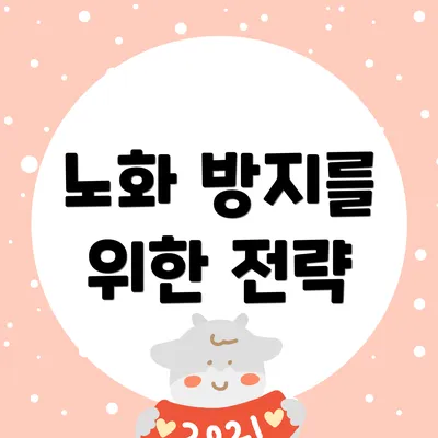 노화 방지를 위한 전략