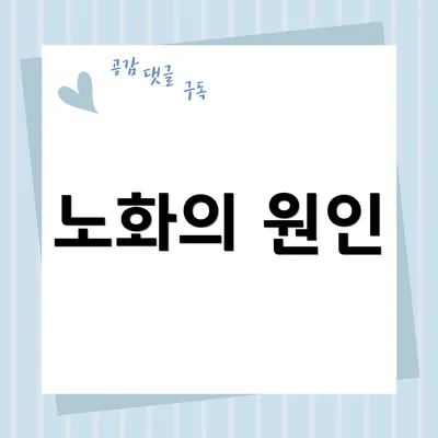 노화의 원인