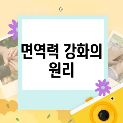 면역력 강화의 원리