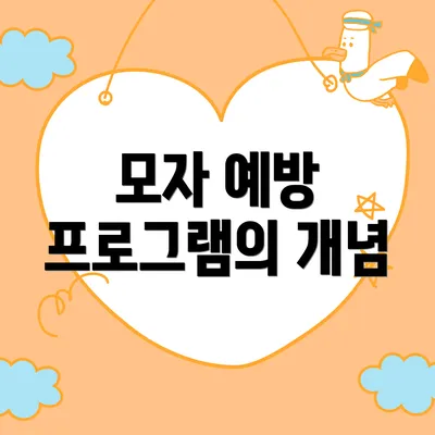 모자 예방 프로그램의 개념