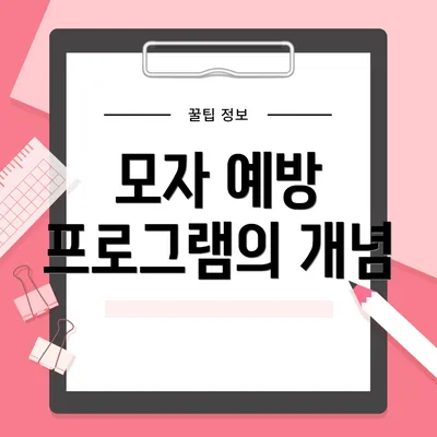 모자 예방 프로그램의 개념