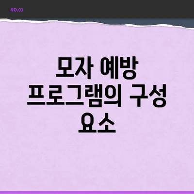 모자 예방 프로그램의 구성 요소